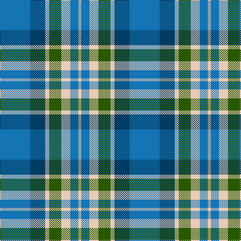 B/60 DB30 LR8 G24 LR18 B16 LR/6 tartan Tartan detail