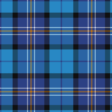 Tartan detail