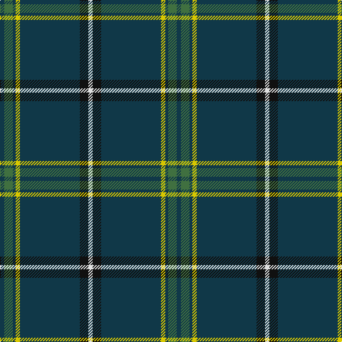 Tartan detail