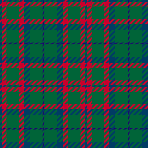 Tartan detail