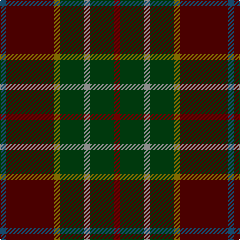 Tartan detail