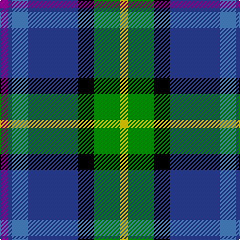 P/8 B4 Ba16 B50 K16 G26 Y/8 tartan Tartan detail