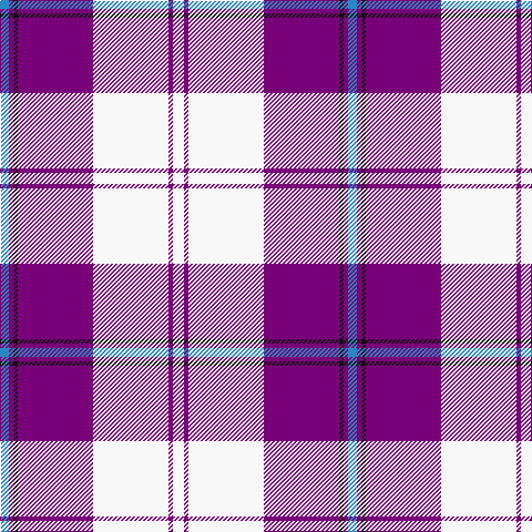 Tartan detail