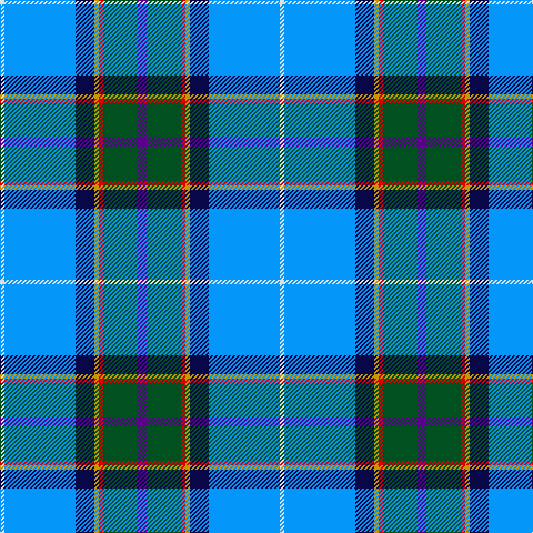 LN/4 B64 DB17 DY4 R4 G31 P/8 tartan Tartan detail