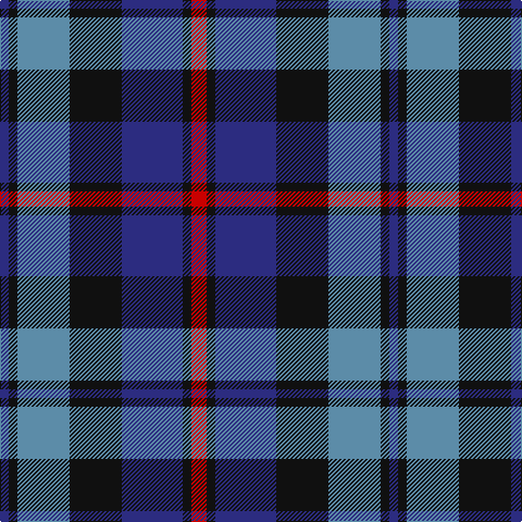 DB/8 K8 B48 K48 DB56 K8 R/14 tartan Tartan detail