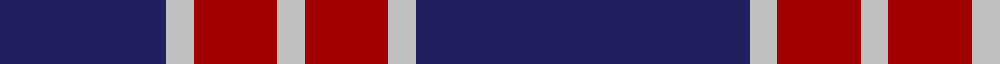 BC Corps of Commissionaires, The example sett