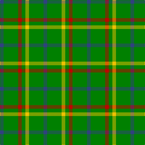 B/12 G48 R12 G12 Y12 G48 B/12 tartan Tartan detail