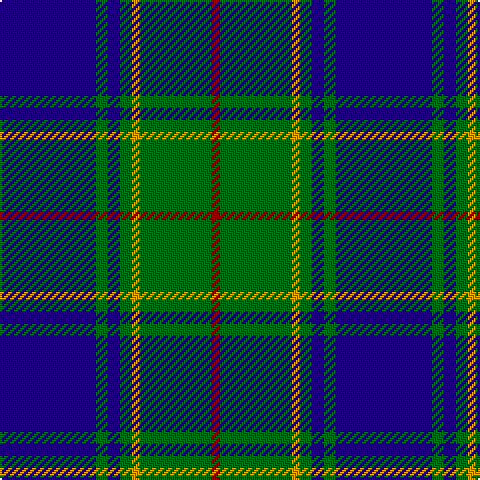 DB/48 G6 DB6 G6 DY4 G36 DR/4 tartan Tartan detail