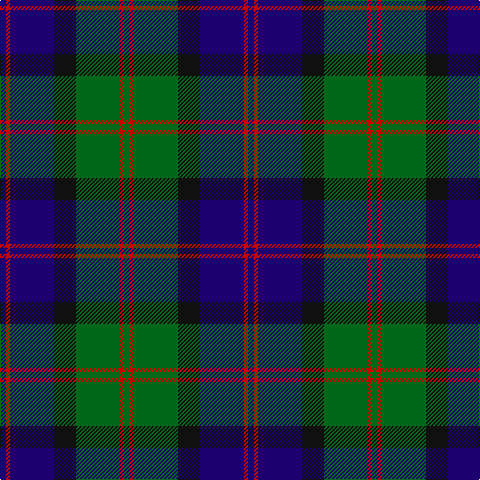 DB/6 R4 DB44 K22 G44 R4 G/6 tartan Tartan detail