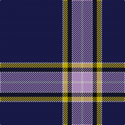 DB/120 LN2 Y8 K8 LN2 LP16 LN/4 tartan Tartan detail