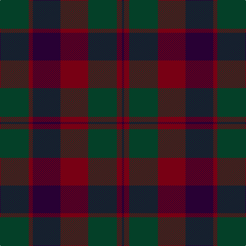DG/56 DR8 DP54 DR54 DG56 DR10 DP/4 tartan Tartan detail