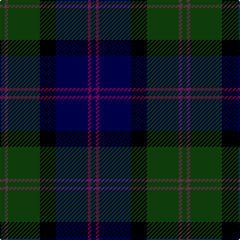 DG/5 N3 DG32 K16 DB32 P3 DB/5 tartan Tartan detail