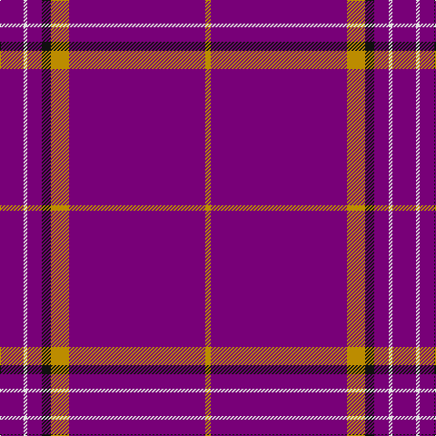 DY/6 P150 DY20 K10 P16 LN4 P/26 tartan Tartan detail