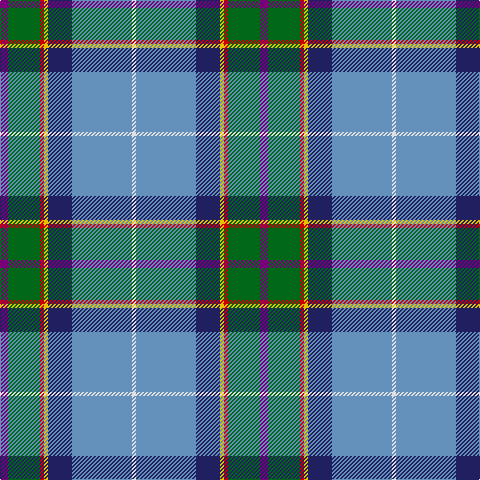 LN/4 B60 DB24 Y4 R4 G32 P/8 tartan Tartan detail