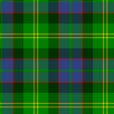 G/10 B42 R5 DG42 G42 Y5 G/10 tartan Tartan detail