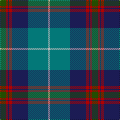 Tartan detail