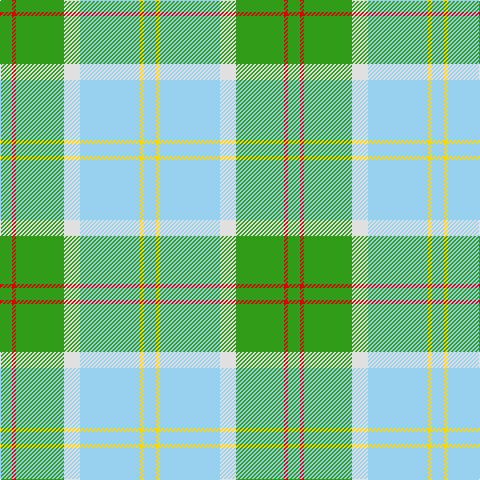 Tartan detail