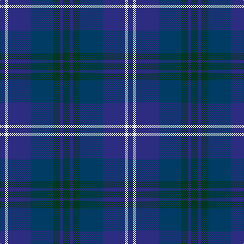 DBa/10 LN6 DBa44 DB44 DG14 DBa6 DG/14 tartan Tartan detail