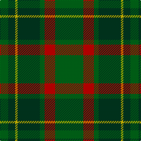 Tartan detail