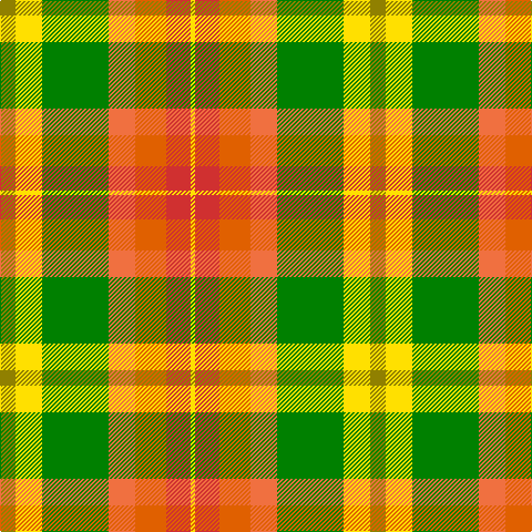 LG/14 Y24 G60 O24 Oa28 R22 Y/4 tartan Tartan detail