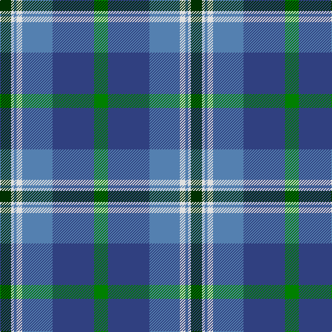 Tartan detail