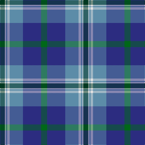 Tartan detail