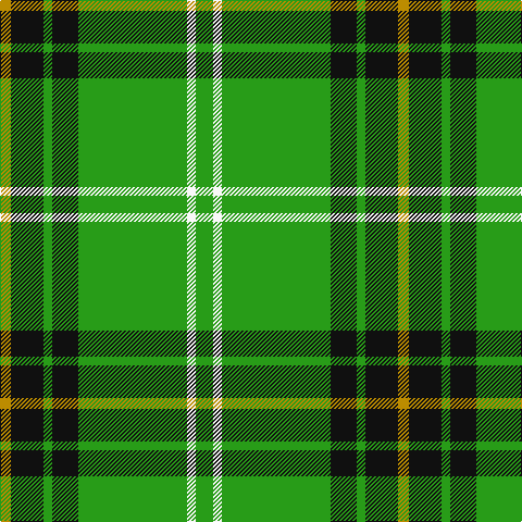 Tartan detail