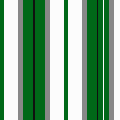 G/18 W55 N19 G20 W2 G20 K/5 tartan Tartan detail