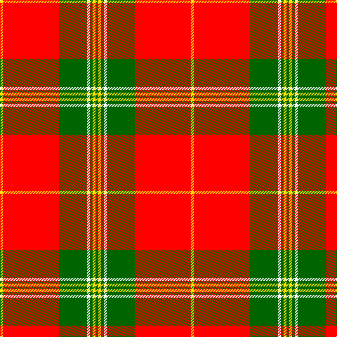 G/4 Y4 G4 W4 G40 R80 Y/4 tartan Tartan detail