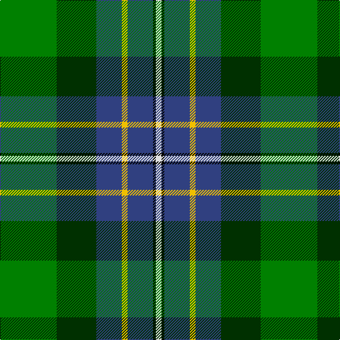 G/80 DG56 B36 Y8 B36 K4 LN/8 tartan Tartan detail