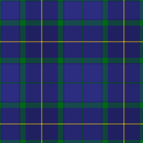 G/4 DBa2 DB58 DBa4 G18 DBa52 Y/4 tartan Tartan detail