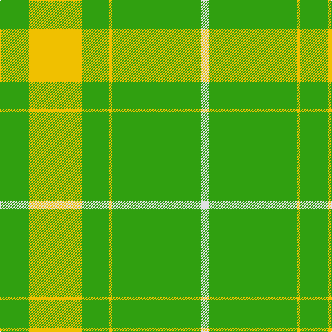 Tartan detail