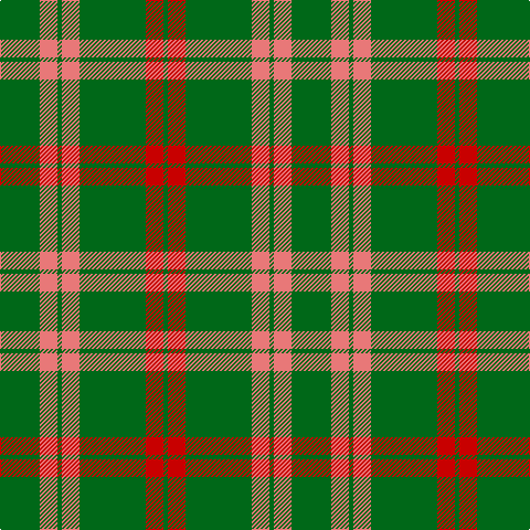 Tartan detail