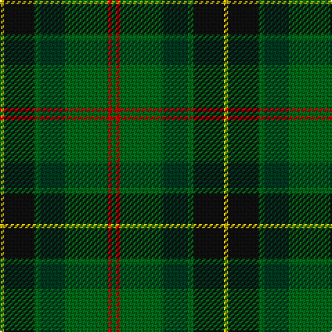 G/3 R3 G31 DG18 G4 K22 Y/3 tartan Tartan detail