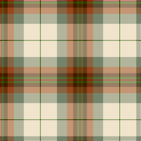 Tartan detail