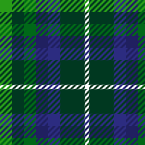 G/40 DG40 Ga40 DBa40 DB40 DG80 W/16 tartan Tartan detail