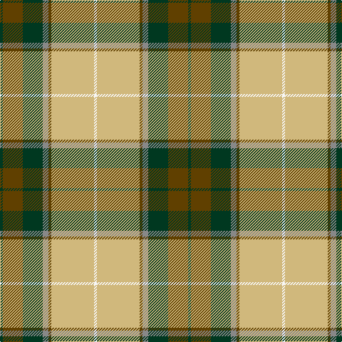 DG/4 T28 DG28 N8 T4 LG60 W/4 tartan Tartan detail