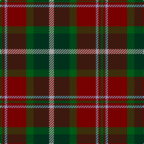 Tartan detail