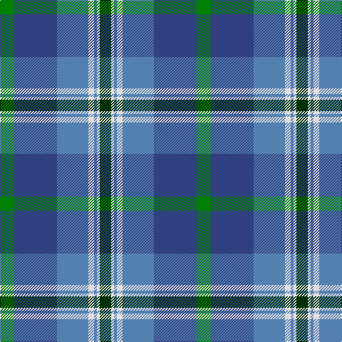 G/20 B60 Ba44 LN8 Ba4 LN4 DG/16 tartan Tartan detail
