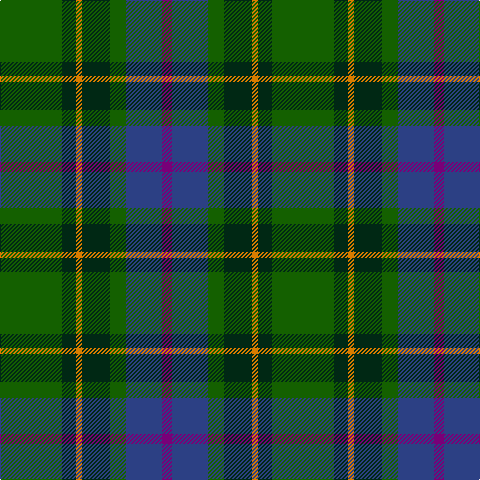 G/62 DG14 O6 DG28 G16 B36 P/10 tartan Tartan detail