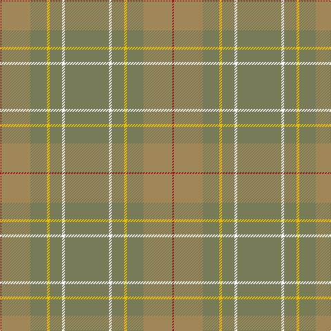 Tartan detail