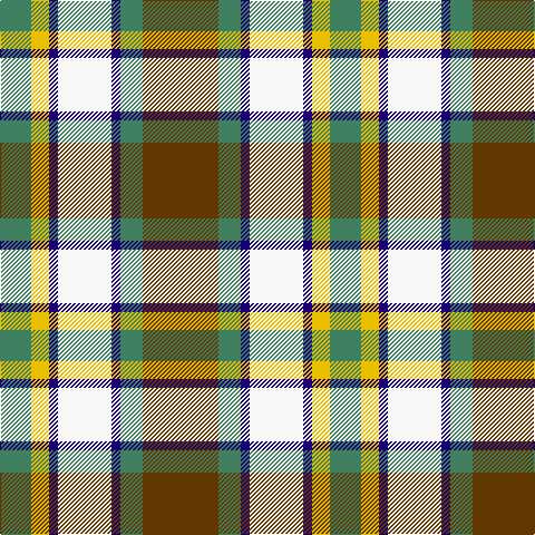 Ga/28 Y16 DB8 Wa48 DB8 Ga20 T/68 tartan Tartan detail