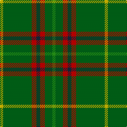 Ga/6 G14 R9 DN7 R9 G54 Y/6 tartan Tartan detail