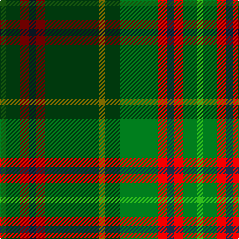 Ga/6 G14 R9 DN7 R9 G54 Y/6 tartan Tartan detail
