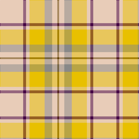 Tartan detail