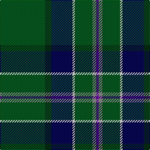 G/72 DG10 DB34 LN4 G28 N6 P/4 tartan Tartan detail