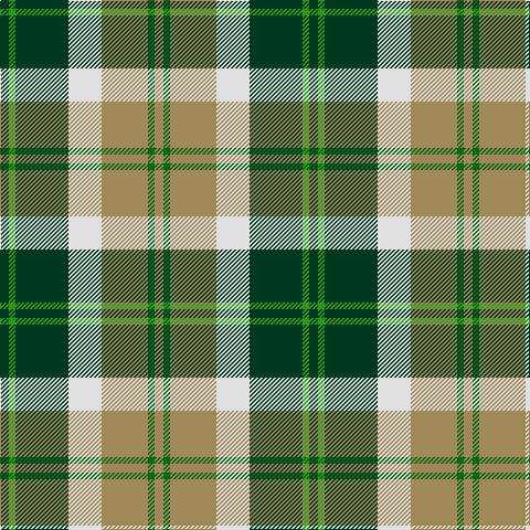 Tartan detail