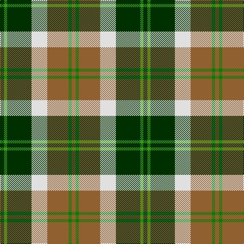 Tartan detail