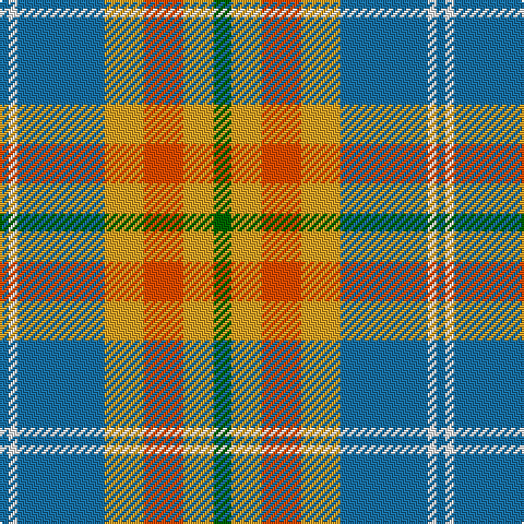 B/4 W4 B40 Y18 R18 Y14 G/8 tartan Tartan detail