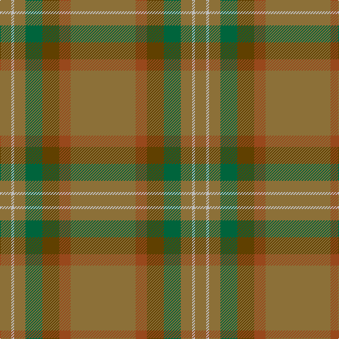 LT/16 N4 LT16 G24 T24 Ta16 LT/92 tartan Tartan detail